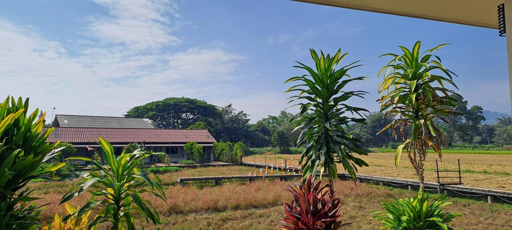 Ban Lom Jen Homestay تْشينيغْرايْ المظهر الخارجي الصورة