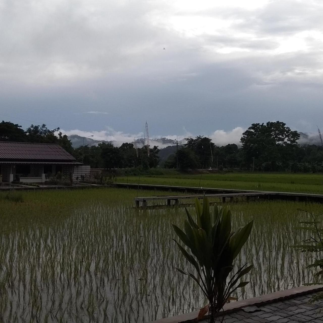 Ban Lom Jen Homestay تْشينيغْرايْ المظهر الخارجي الصورة